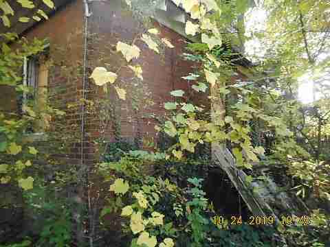 14859 Kentucky (5)_m.jpg